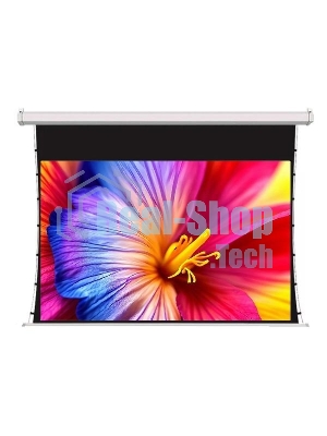 Экран для проектора S'OK SCPSMT-360x270FG-ED60 177 