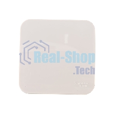 Выключатель 1-кл. ОП Blanca (сх.1) 10А 250 В изол. пласт. беж. SchE