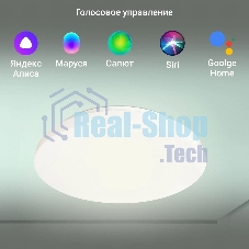 Умный светильник Digma TopLight TL25 потолоч. белый (TL25)