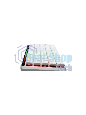Клавиатура беспроводная ASUS M603 FALCHION RX/KB,ROG RX OPTICAL/LP/RLRD/RU