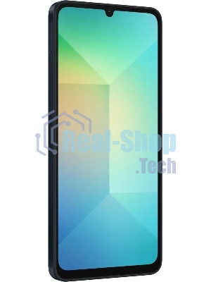 Смартфон Samsung Galaxy A06 SM-A065F 4/64Gb, черный