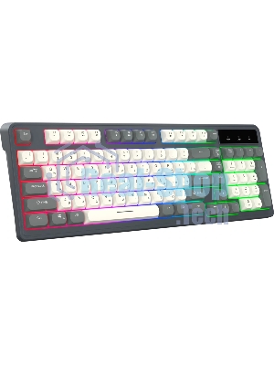 Клавиатура Oklick 731G проводная, USB Type-A, серый/белый