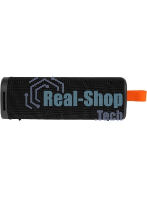 Беспроводная портативная колонка Xiaomi S29D Sound Outdoor 30W черный