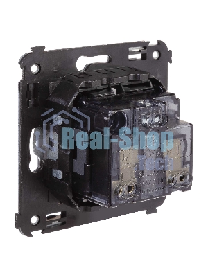 Розетка DKC Avanti 4412003 2P+E со шторками, 