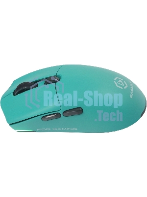 Мышь беспроводная/проводная Raskat MG006TR зеленый, 26000 dpi, радиоканал, Bluetooth, USB, кнопки - 6