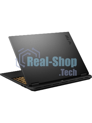 Ноутбук ASUS TUF Gaming F16 FX608JPR-RV048/16