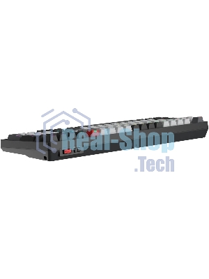 Клавиатура беспроводная механическая A4Tech Bloody WS98 USB черный/серый (WS98)