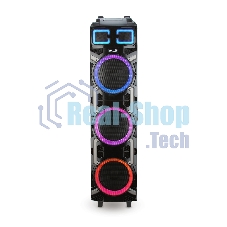 Колонка Eltronic 10
