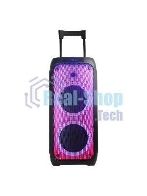 Колонка Eltronic 10