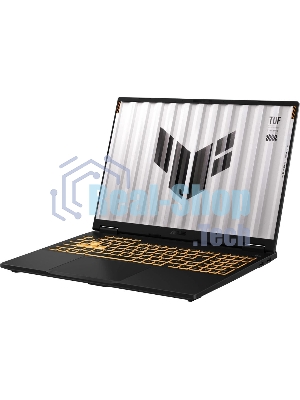 Ноутбук ASUS TUF Gaming F16 FX608JPR-RV048/16
