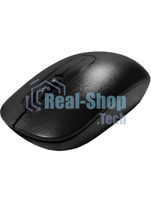 Мышь RDW Computers RDW02-M черный оптическая 1000dpi беспров. BT 3but (MC01T3L1S2)