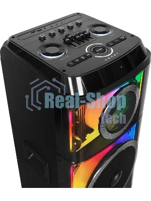 Колонка портативная Ural 203 черный 2000W 1.1 BT/3.5Jack/USB-C 15м 9000mAh