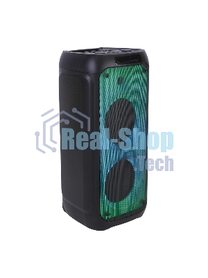 Колонка Eltronic 10