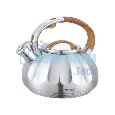 Чайник для плиты ALBERG AL-3066