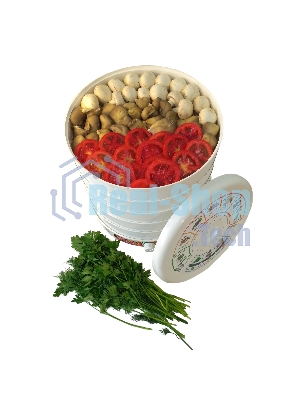 Сушилка для овощей и фруктов Renova DVN31-500/5(R)