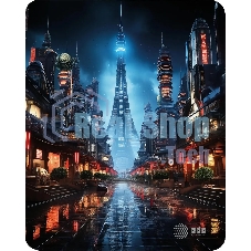 Коврик для мыши Cactus CS-MP-D05M City 300x250x3мм