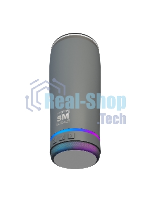 Термокружка с портативной колонкой Soundmax SM-TC001 серый