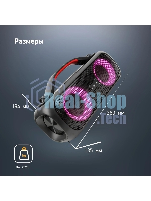 Колонка портативная Digma D-PS1531 черный/черный 40W 2.0 BT 10м 3000mAh