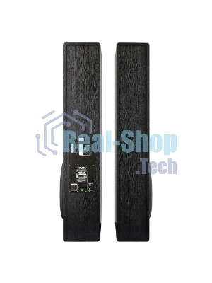 Акустическая система Ginzzu GM-326, BT/HDMI/OPT/USB/FM/ДУ