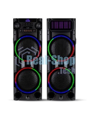 Колонка Eltronic 10