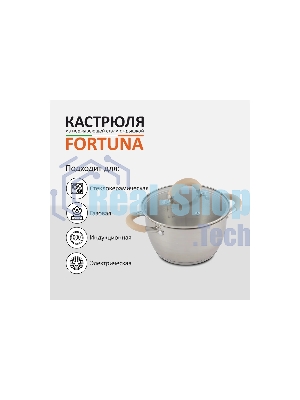 Кастрюля MALLONY Fortuna нержавеющая сталь, 4,5 л, с крышкой, матовый корпус, ручки с силиконом (007220)