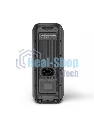 Портативная Bluetooth-колонка BQ PBS2010 черный 100 Вт