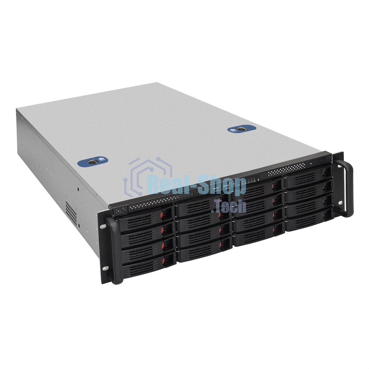 Серверная платформа ExeGate EX292421RUS Pro 3U660-HS16 (RM 19