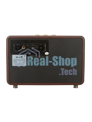 Колонка Eltronic MONSTER BOX 850 (30-15) TWS (коричневый)