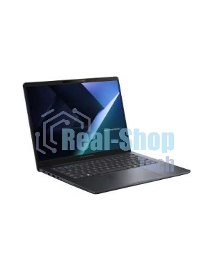 Ноутбук ASUS ExpertBook Mainstream B3405CVA-LY1310/14