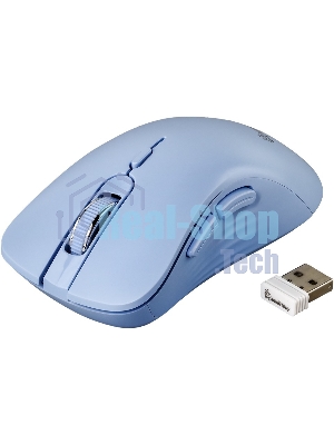Мышь беспроводная Smartbuy (SBM616AGB) 616AG голубой