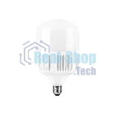 Лампа светодиодная Feron LB-65 70W 230V E40 6400K