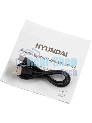 Микрофон беспроводной Hyundai H-MIC100 черный