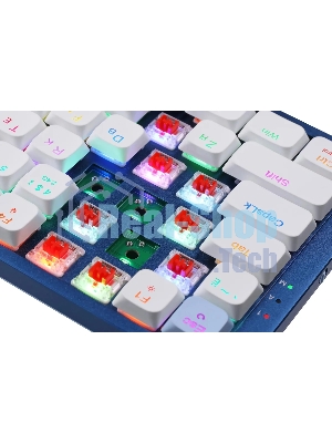 Клавиатура Redragon Eva Pro гибридная, USB Type-A, Bluetooth, радиоканал, белый/синий