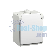 Розетка IEK ERS12-K01-16-54-DC ОП Форс РСб20-3-ФБ 16А IP54 с заземл. защ. шторки белый