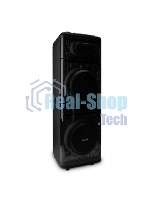 Акустическая система ELTRONIC (30-74) SKILLETS BOX 2500 - колонка 12