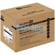Комплект Источник бесперебойного питания EX295987RUS + батарея 100Aч EX285656RUS 2шт (инвертор, синус, для котла) ExeGate SineTower SZ-1000.LCD.AVR.2SH.1C13.USB 1000VA/800W, чистый синусоида, LCD дисплей, AVR, 2*Schuko+1*C13, USB, линейно-интерактивный, Black + батарея ExeGate HRL 12-100 (12В, 100А·ч) 2шт