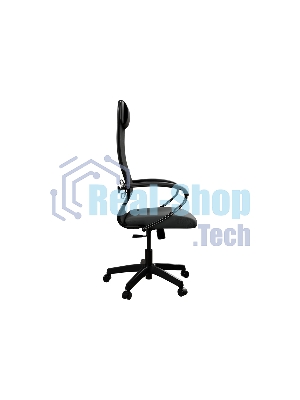 Кресло компьютерное ErgoLife Set 11/подл.130/осн. Sit 001, черный 13E.12.1.222 z13E.12.1.222