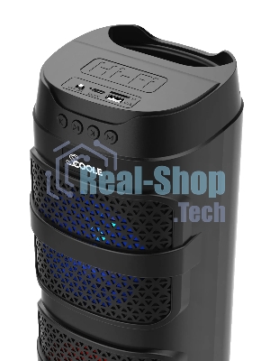 Портативная колонка SCOOLE SL-PS5043B чёрный