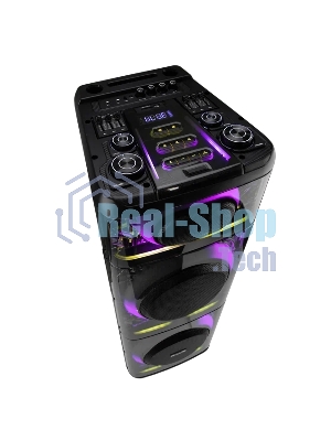 Акустическая система ELTRONIC (30-74) SKILLETS BOX 2500 - колонка 12