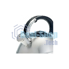 Чайник для плиты ALPENKOK AK-531 3 л