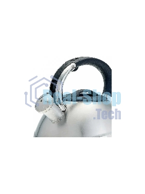 Чайник для плиты ALPENKOK AK-531 3 л