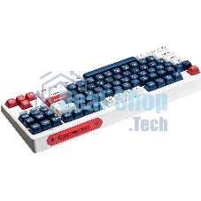 Переключатели Redragon Bullet B синий/белый,24 шт.