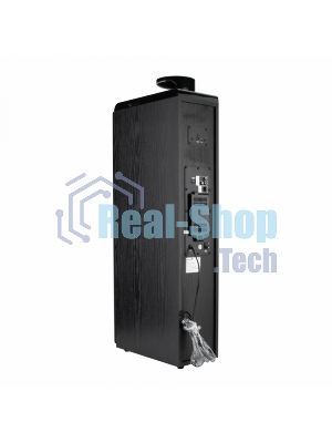 Колонки ELTRONIC (30-49 черный) HOME SOUND - 10 