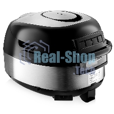 Мультиварка BRAYER BR2404 5л 860Вт серебристый/черный
