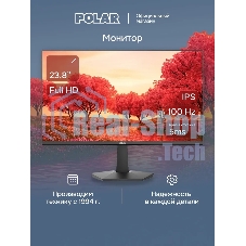 Монитор POLAR P24F12M
