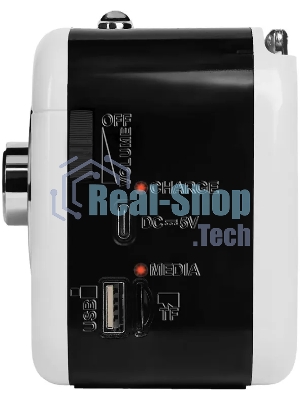 Радиоприемник Ritmix RPR-033 белый