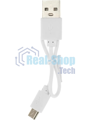 Портативный аккумулятор Redline PowerBank RP52 10000mAh 3A 2xUSB черный (УТ000032478)