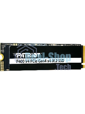 Накопитель SSD Patriot M.2 2280 500Gb 5000/3000MBs