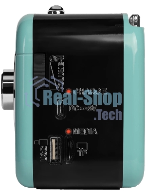 Радиоприемник Ritmix RPR-033 AZURE