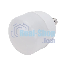 Лампа светодиодная Ergolux 14329 LED-HW-50W-E40-6K PRO 50Вт E27/E40 6500К 150-260В